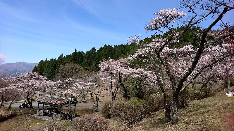 画像4