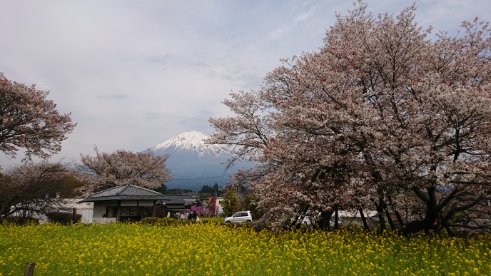 画像5