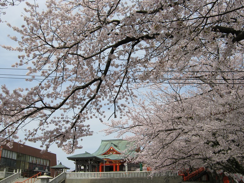 画像1