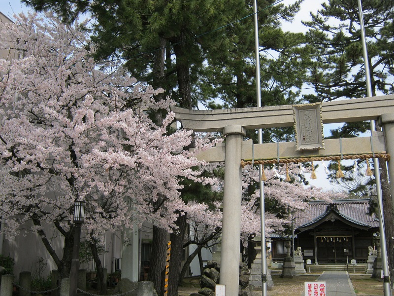 画像3