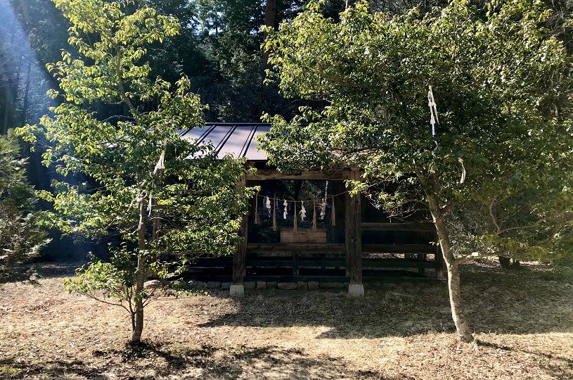 画像5