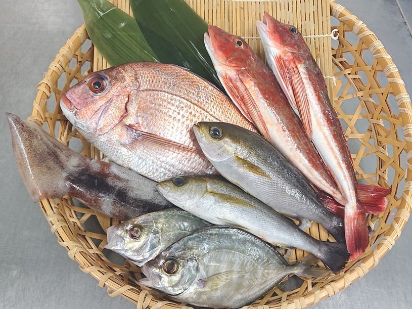 画像3