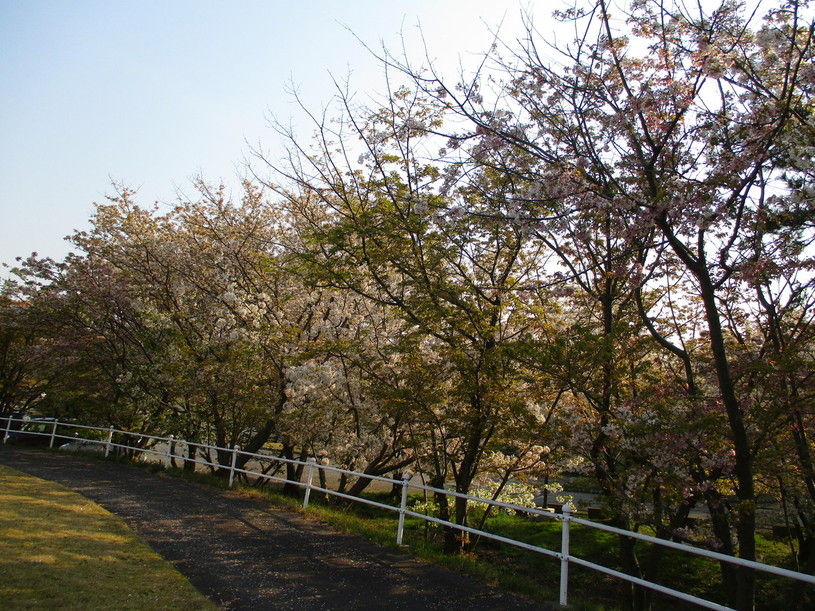 画像4