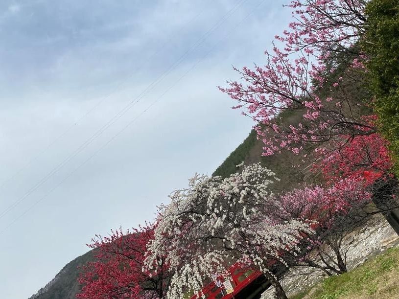画像2