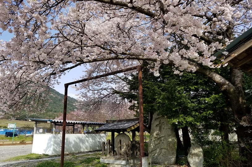 画像4