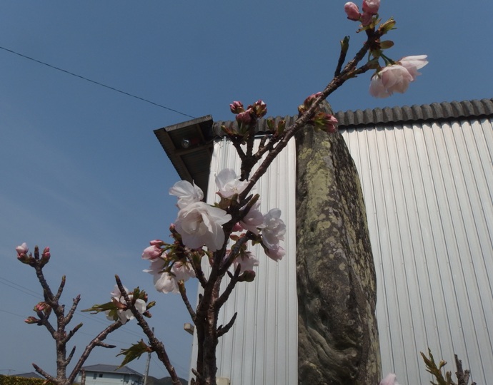 画像2
