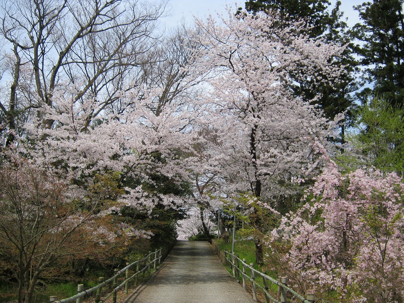 画像5