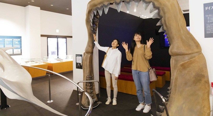 シャークミュージアム
