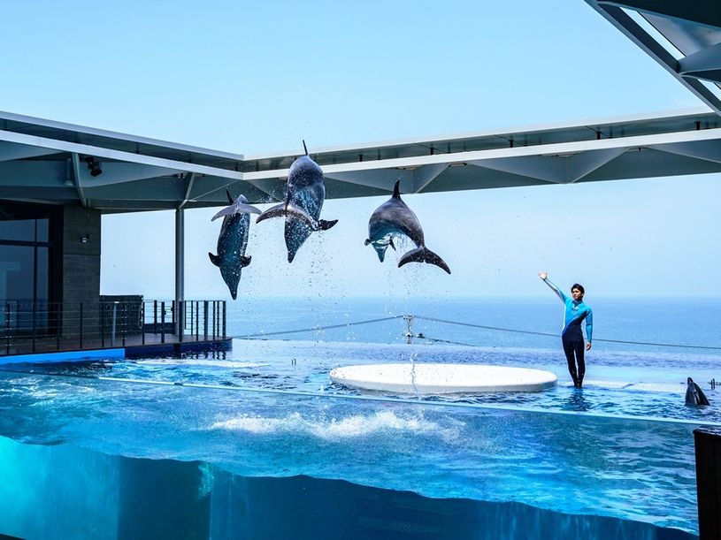 【遊】上越市立水族博物館・うみがたり