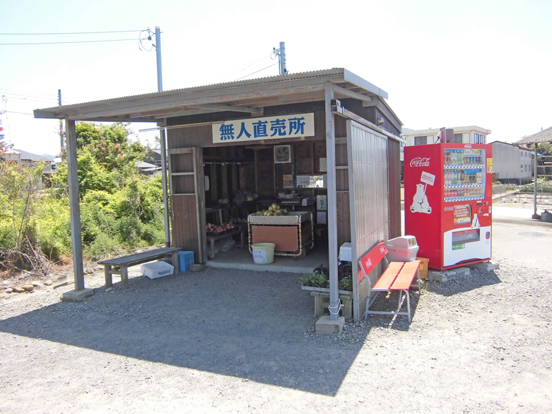 画像3