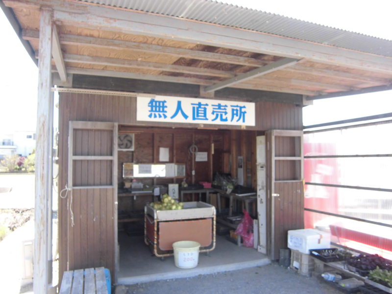 画像4