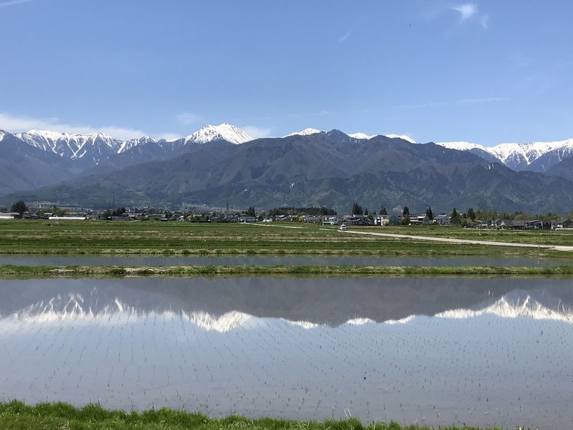 画像5