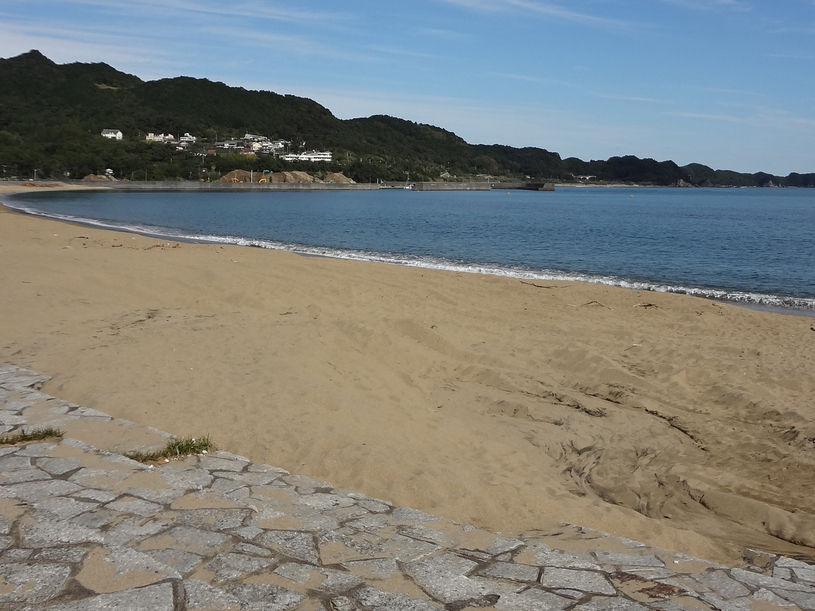 画像1