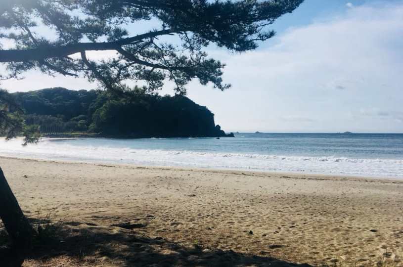 画像1
