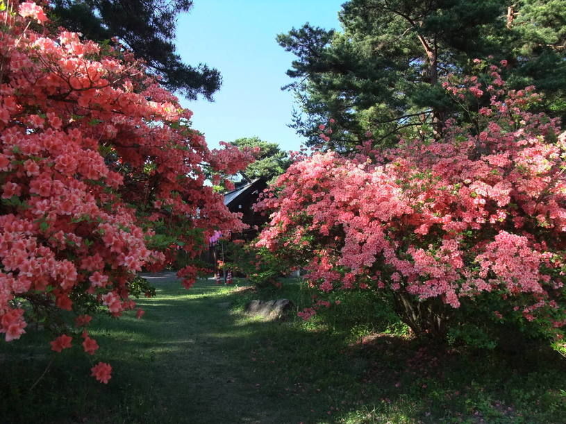 画像1