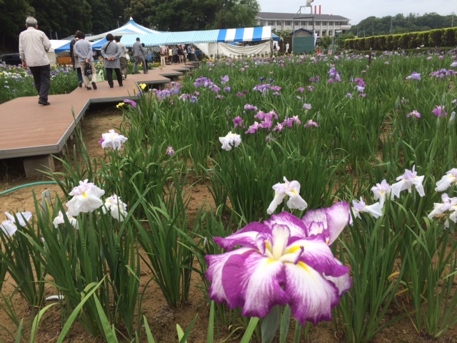画像1