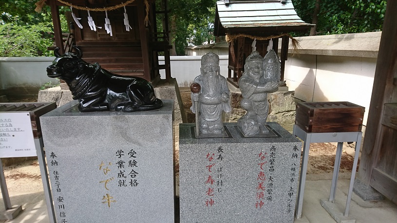 画像5