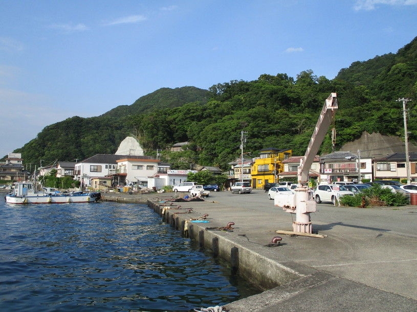 画像4