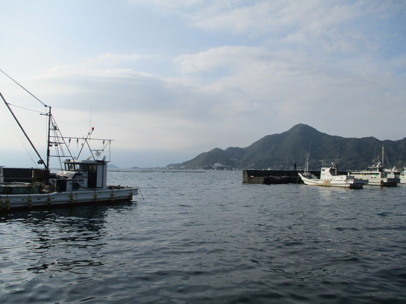 画像5