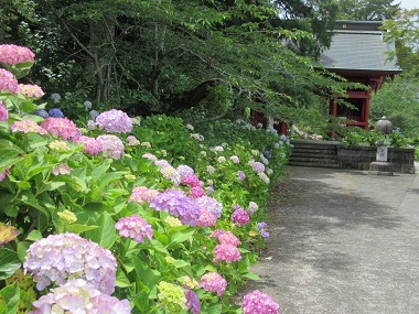画像2