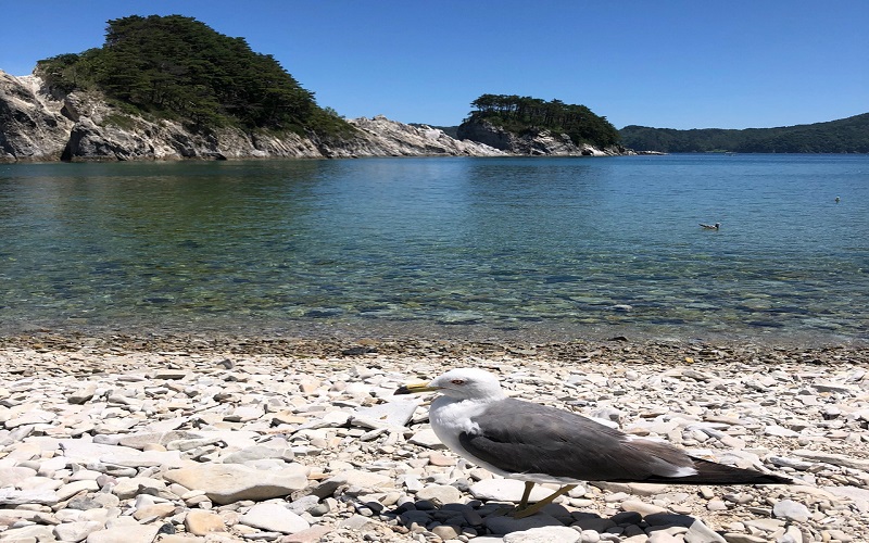 画像2