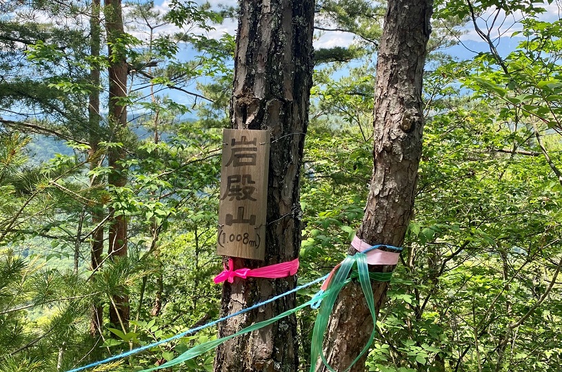 画像4