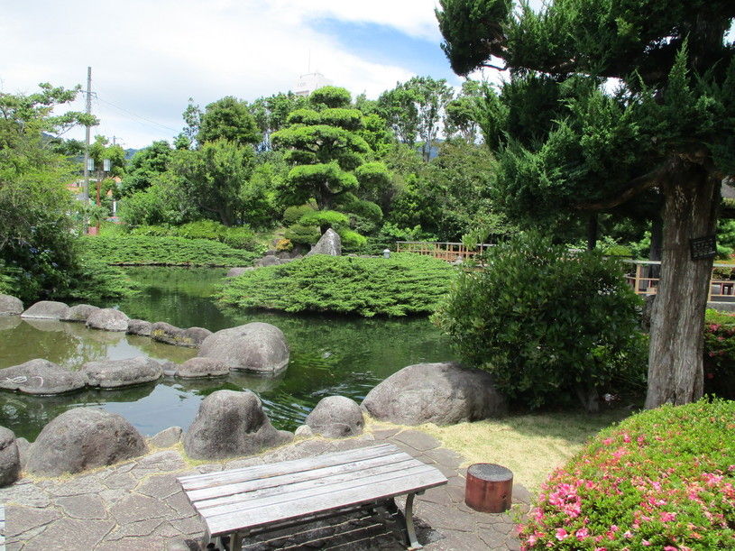 画像4