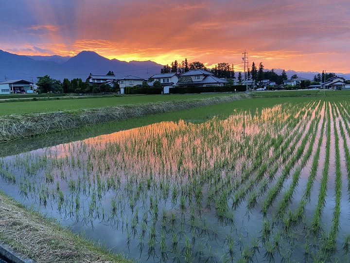 画像5