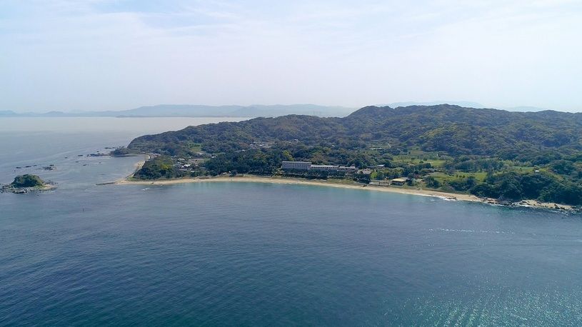 画像1