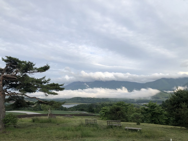 画像1