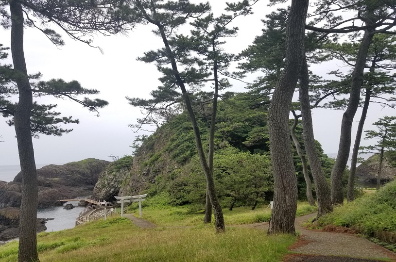 画像1