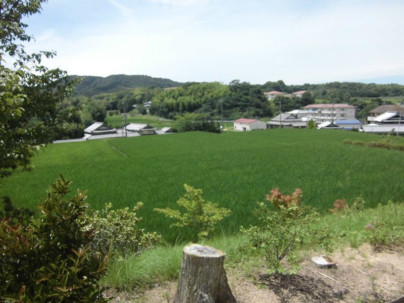 画像3
