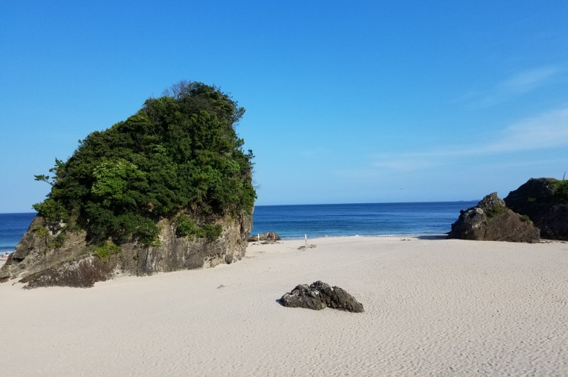 画像1