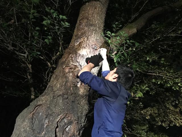 画像1