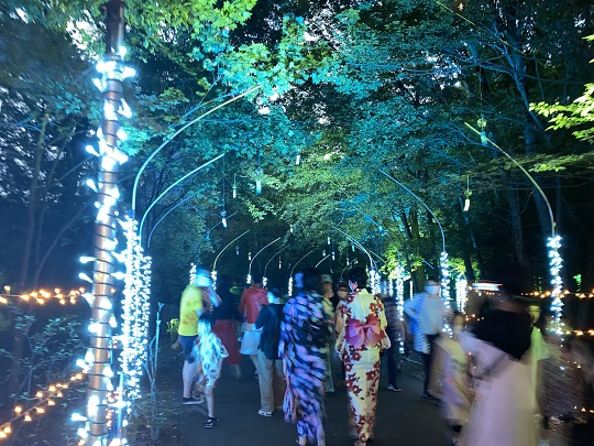 画像5
