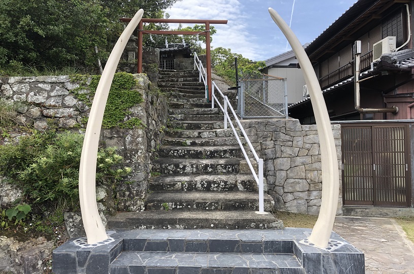 画像2