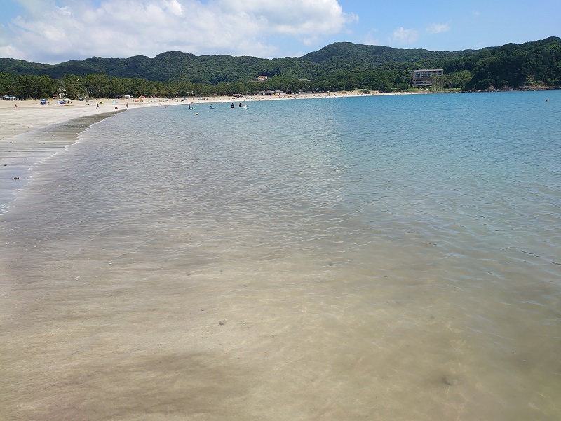 画像1