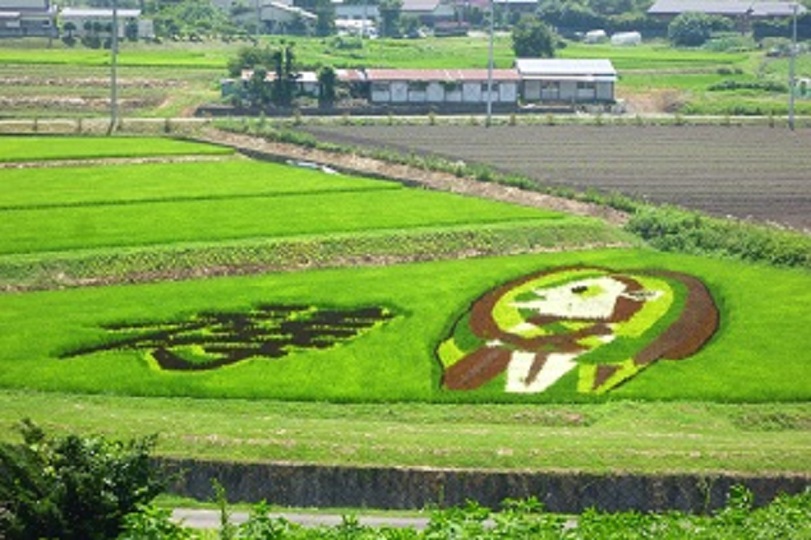 画像1