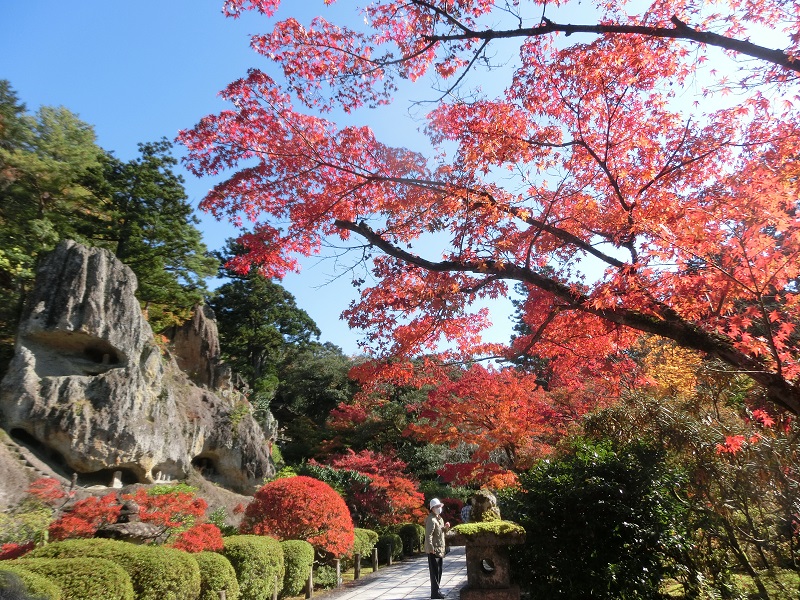 画像1
