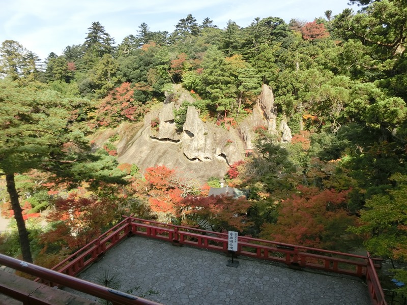 画像5