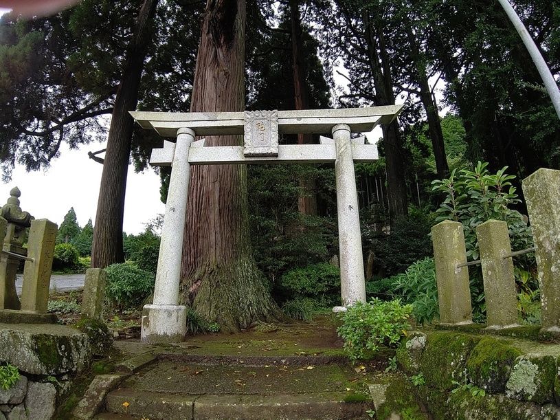 画像1