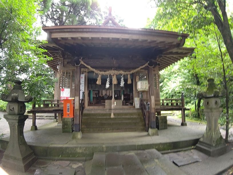 画像4