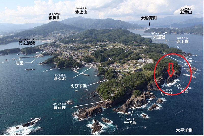 画像1