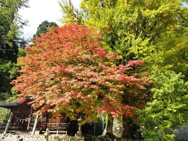 画像2