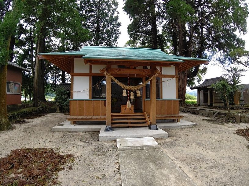画像4