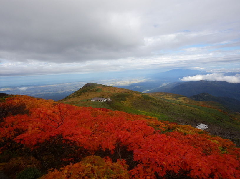 画像1