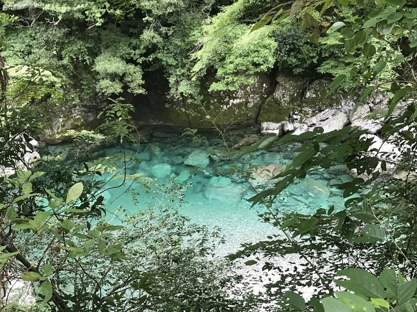 画像5