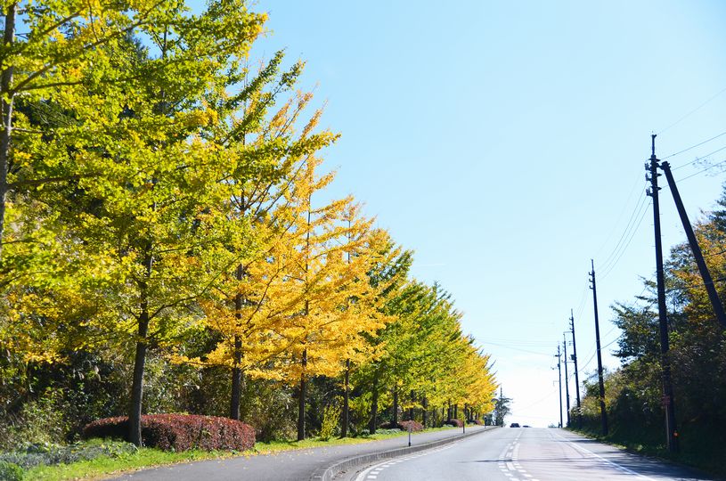 画像5