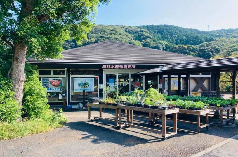 画像5