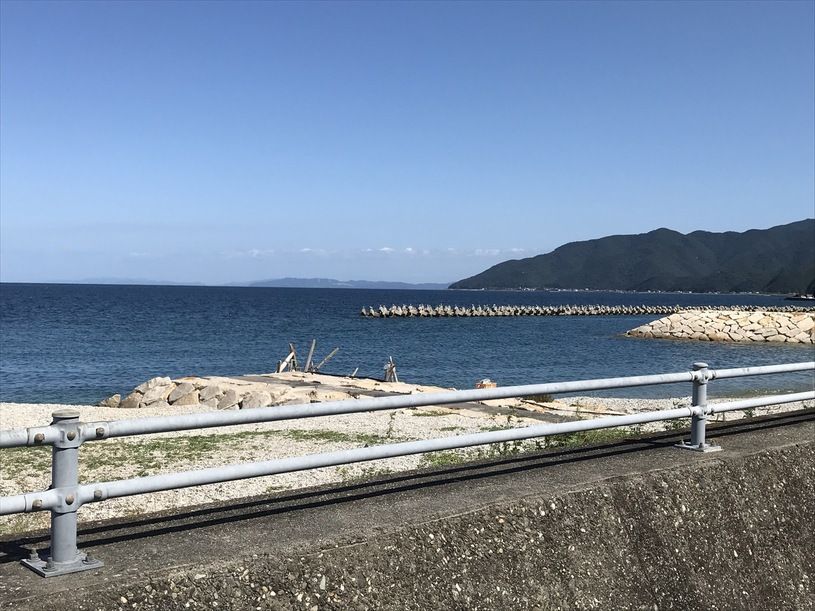 画像5